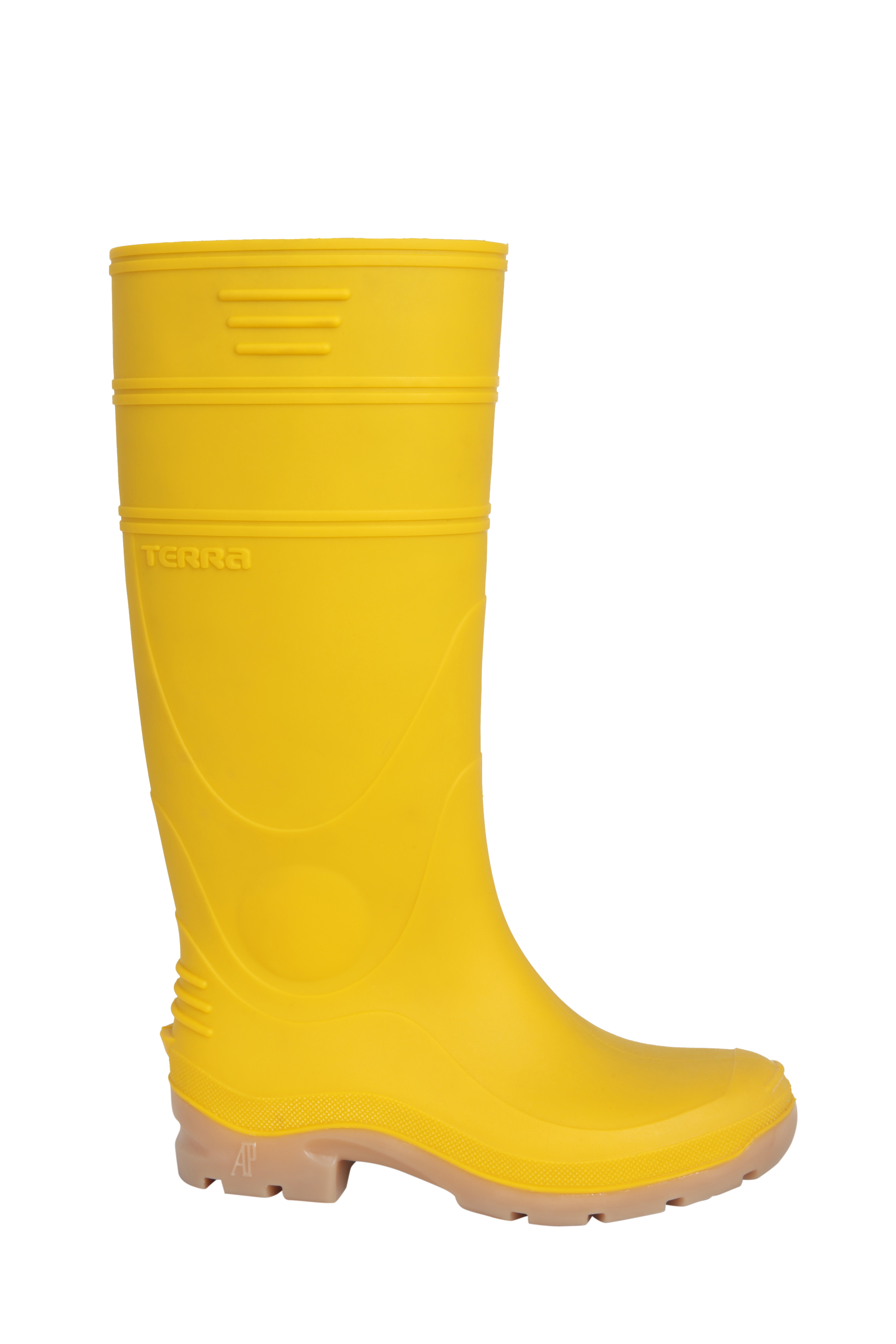 Thumbnail AP TERRA1 2